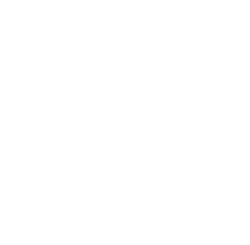Link to the github repository